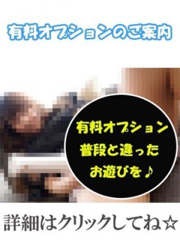 有料オプション