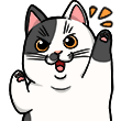 ?リングマイベルK様?