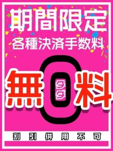 各種決済手数料無料 (Kasyuketsusan)