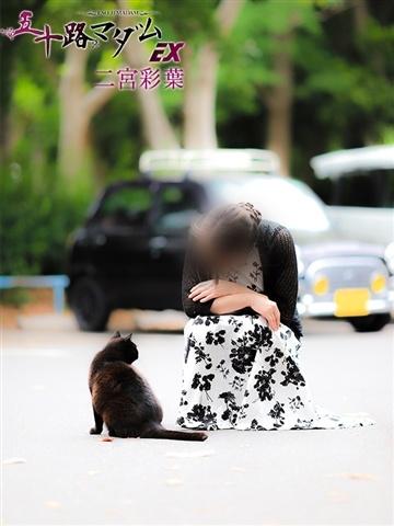 二宮彩葉