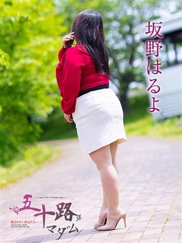 坂野はるよ